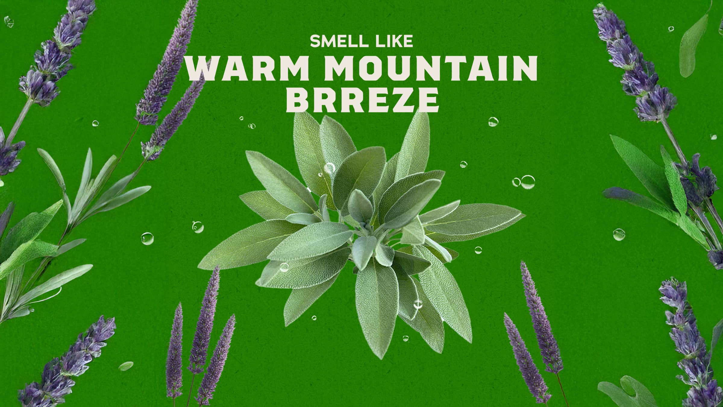 Alpine Sage Deodorant - Image 3