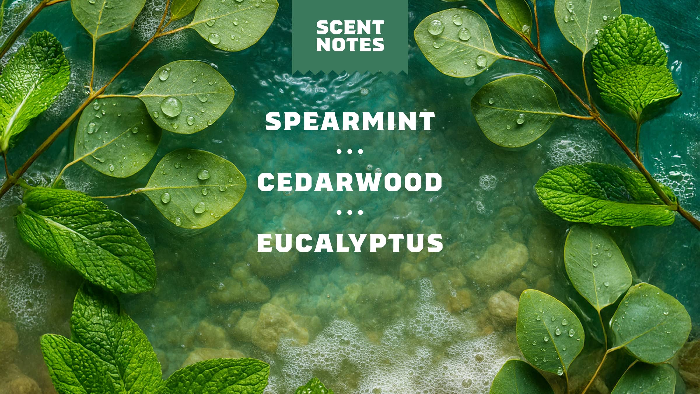 Rainforest Rapids Precision Deo - Image 4