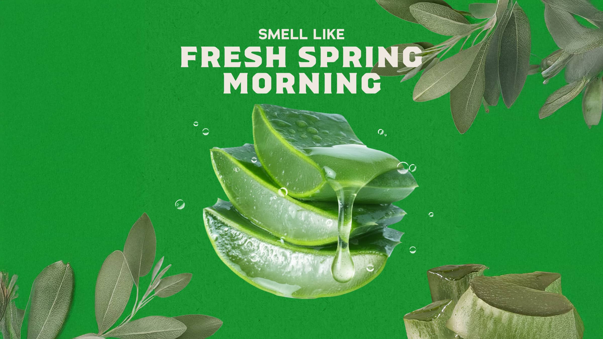 Cool Fresh Aloe Shampoo - Image 4