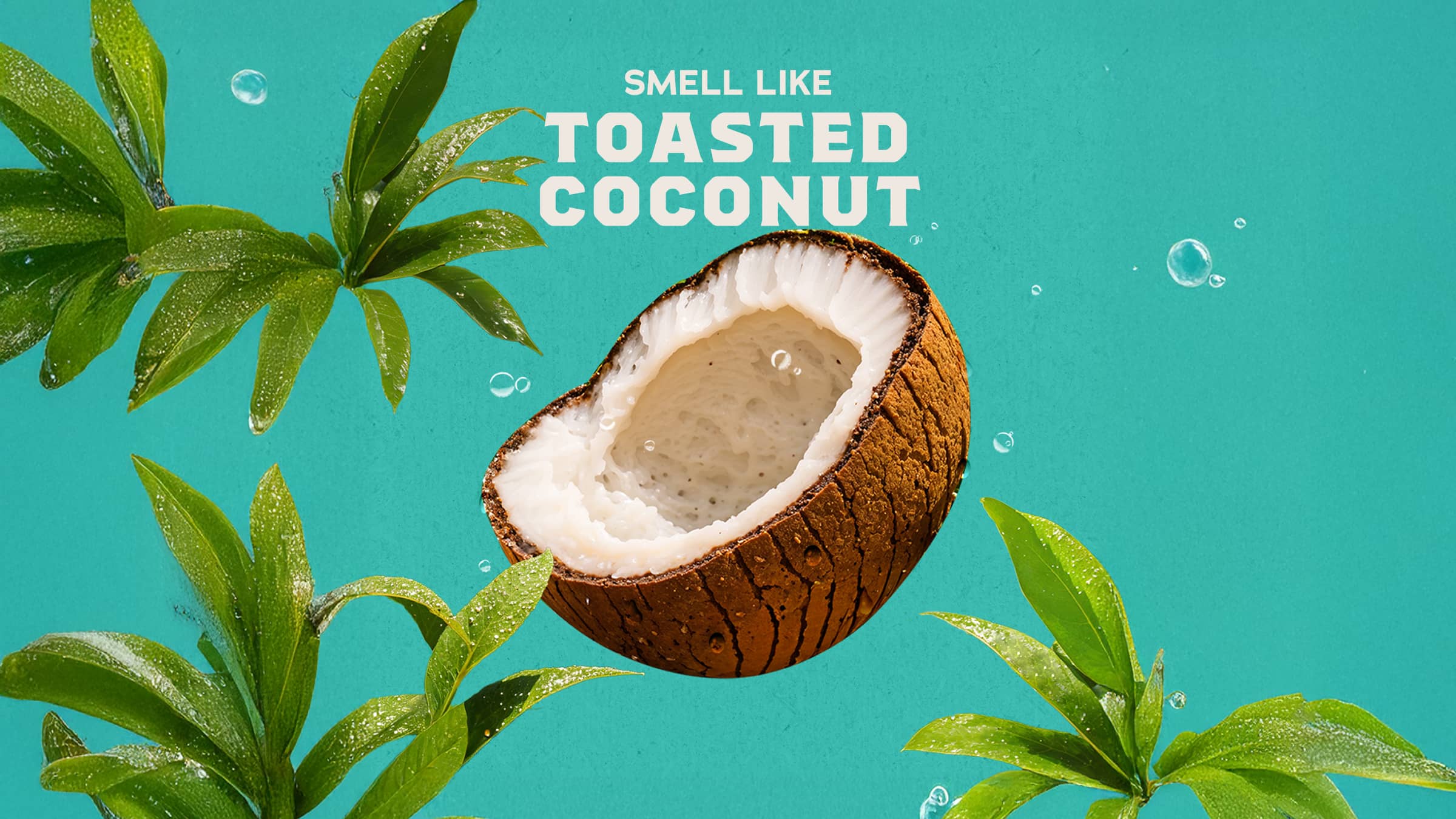 Coconut Castaway Conditioner - Image 3