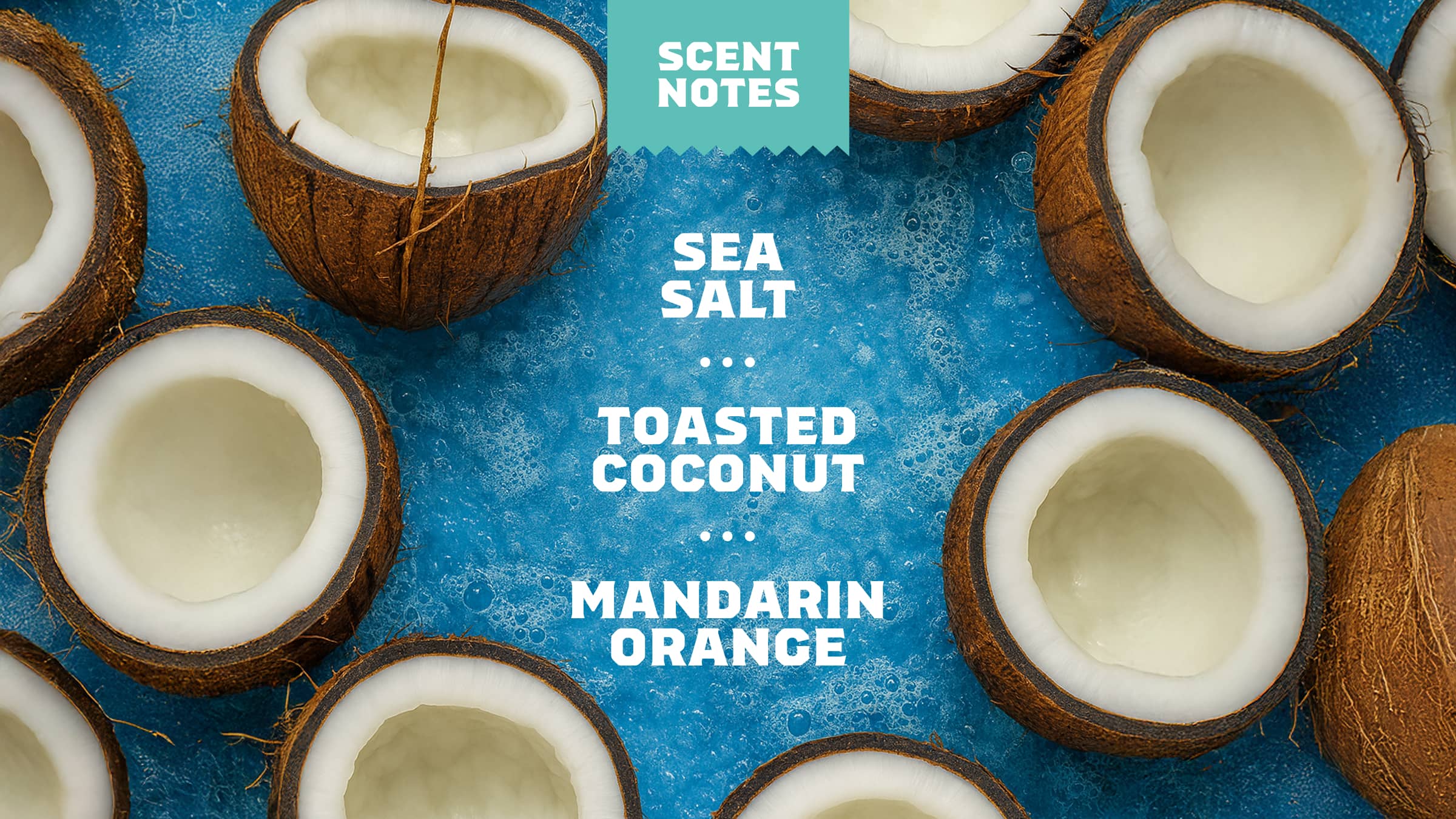 Coconut Castaway Conditioner - Image 4