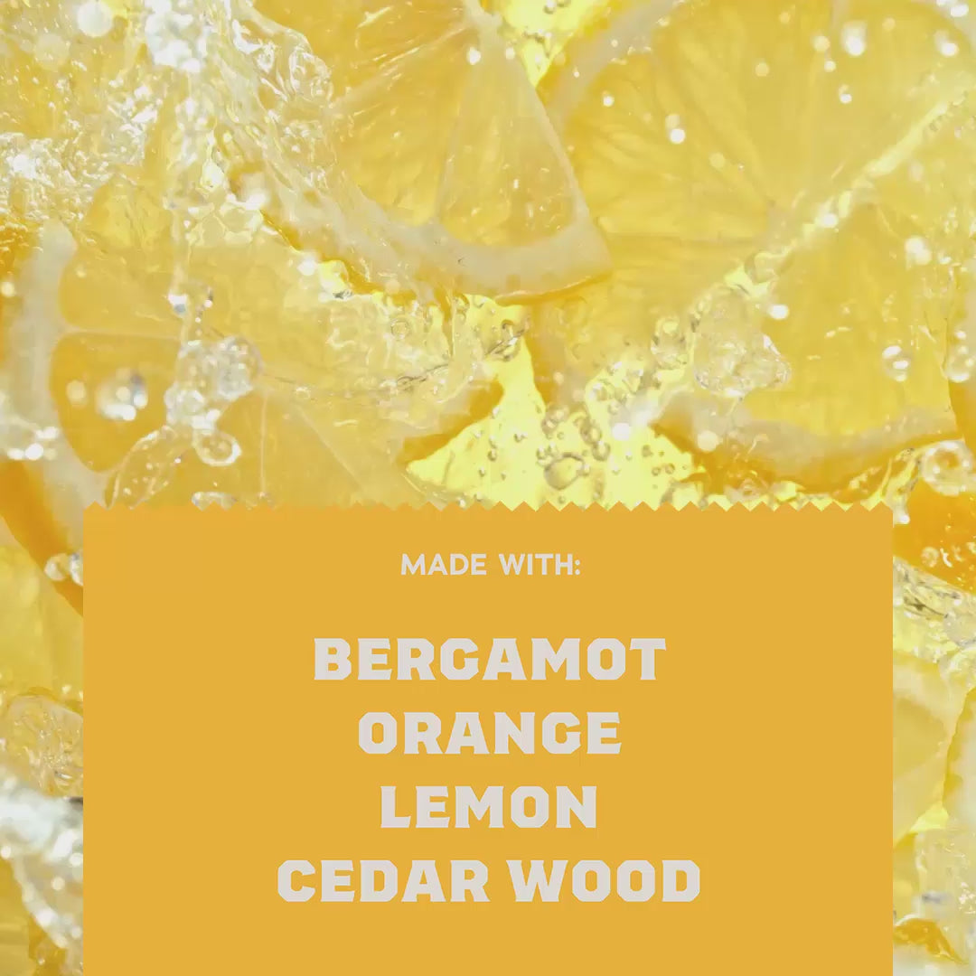 Summer Citrus Conditioner - Image 6
