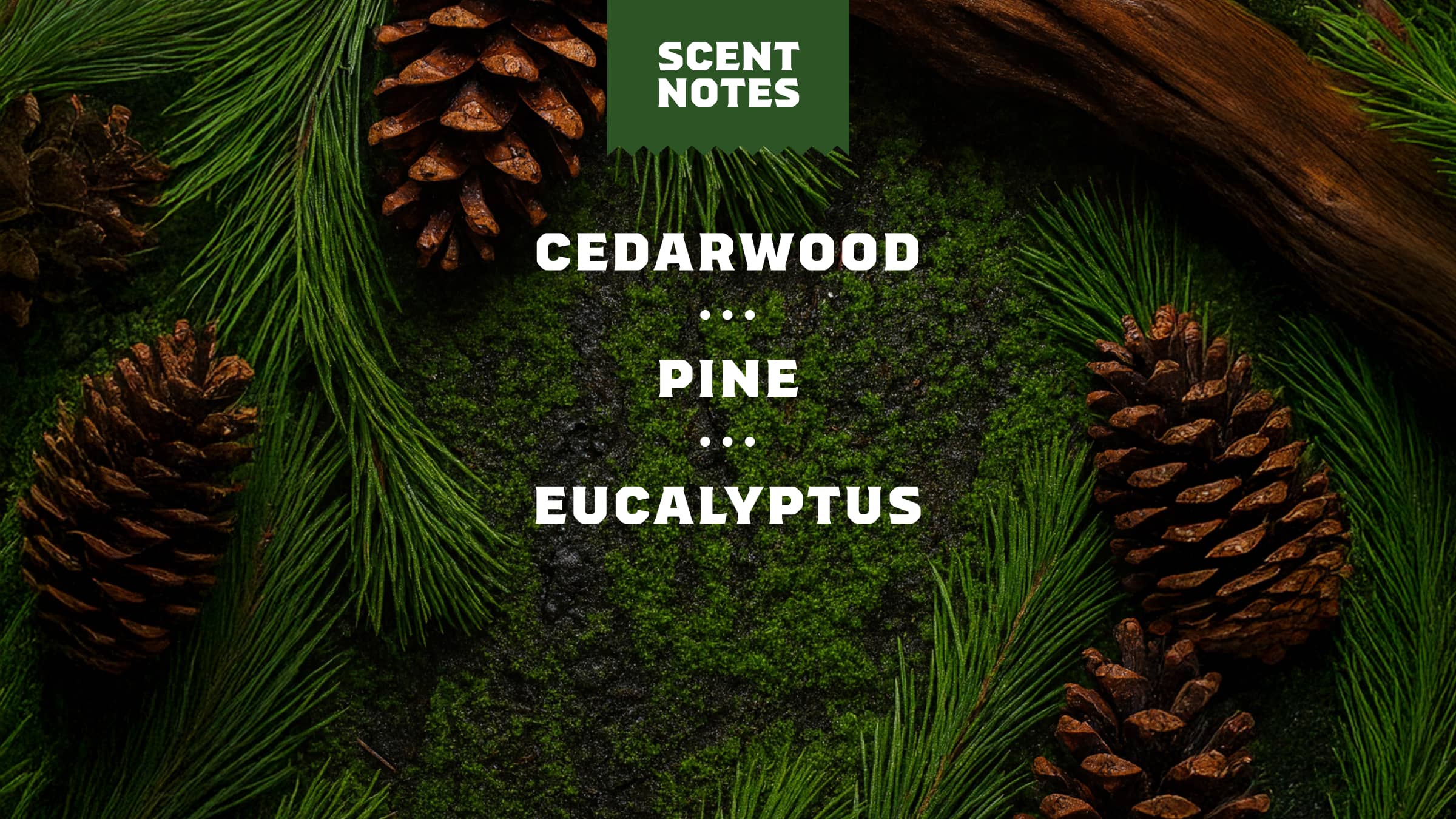 Pine Tar Shave Butter - Image 4