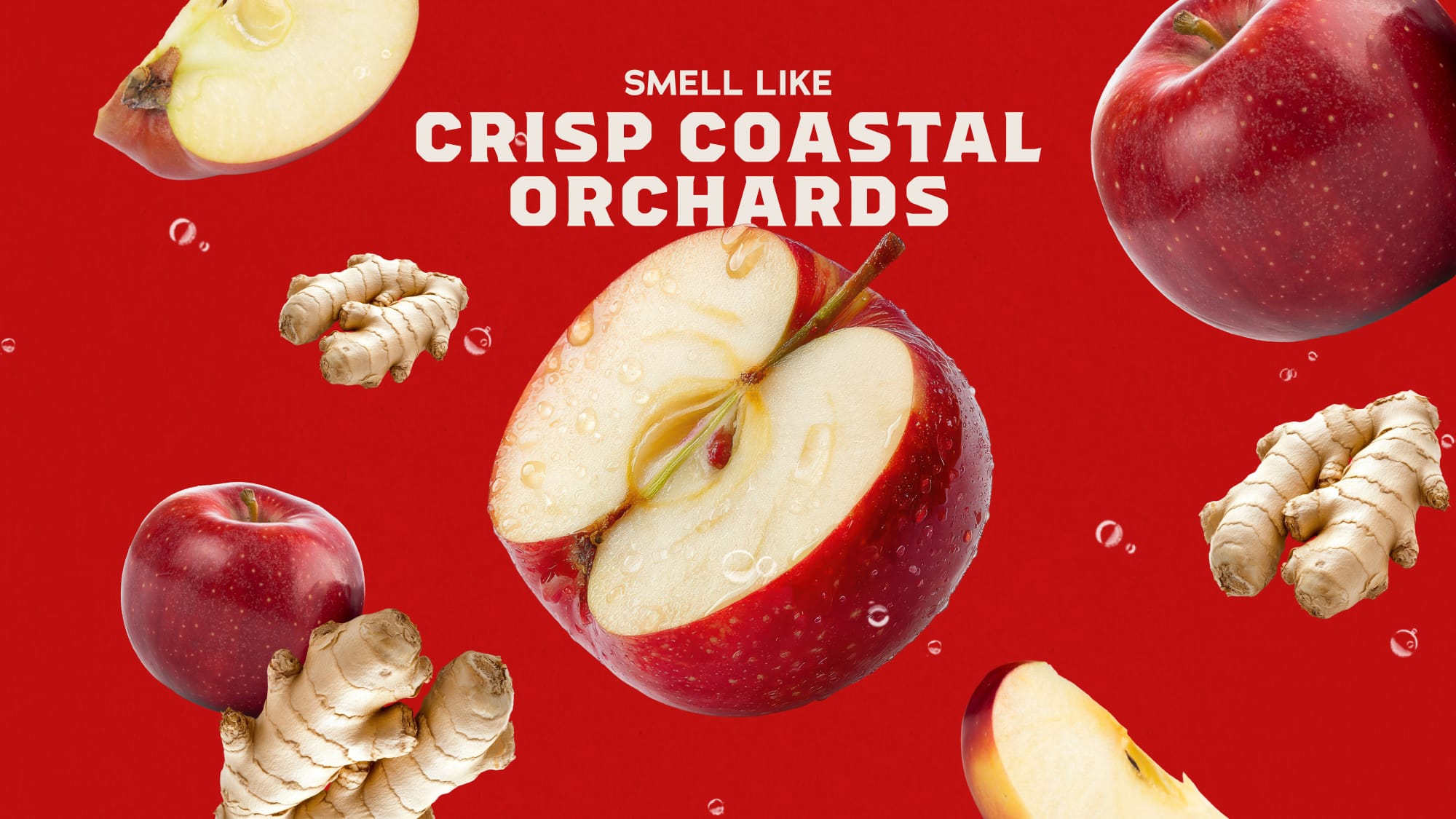 Oceanside Orchard Bar Soap - Image 3