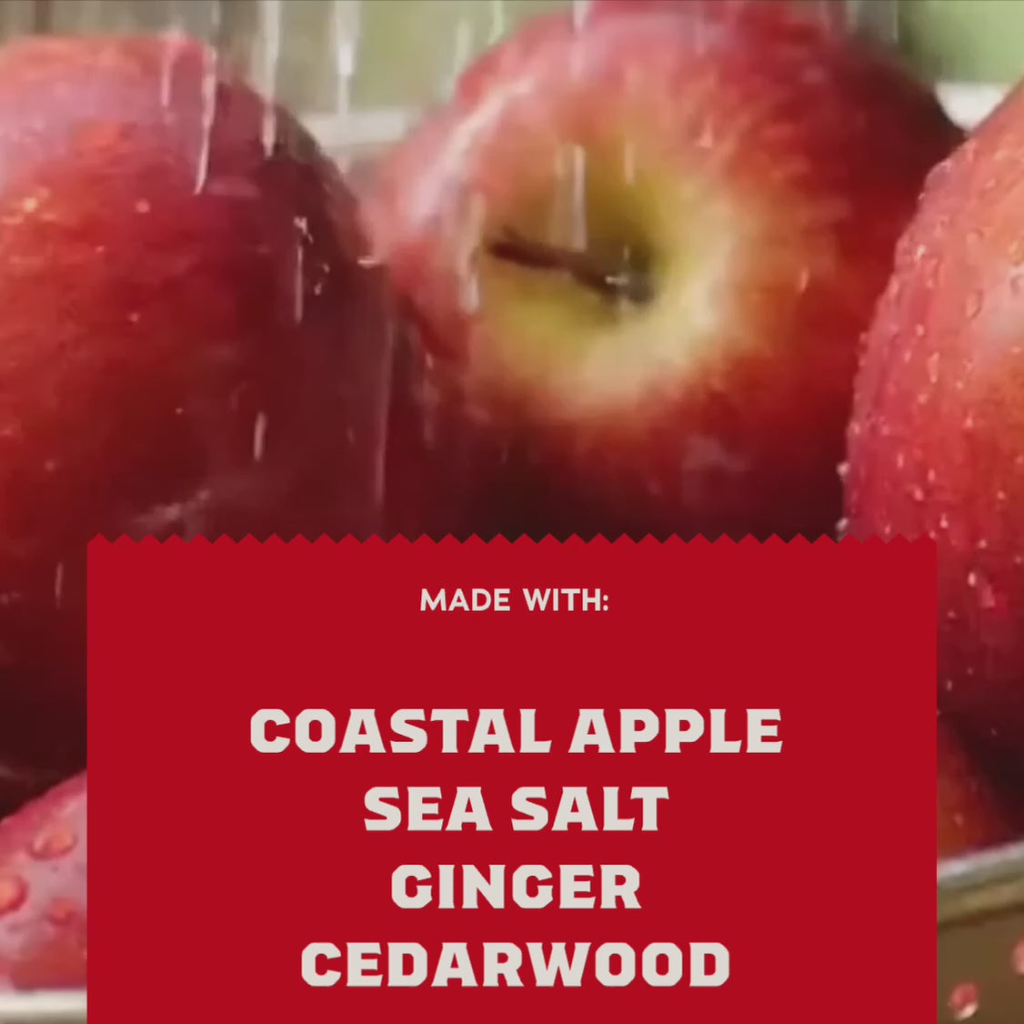 Oceanside Orchard Bar Soap - Image 4