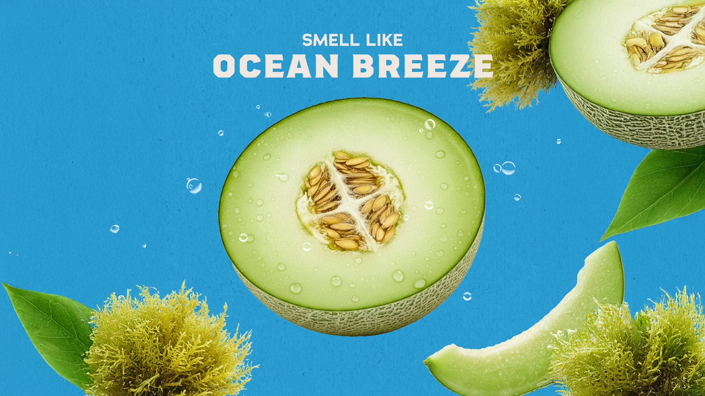 Coastal Mist Bar Soap - Image 3