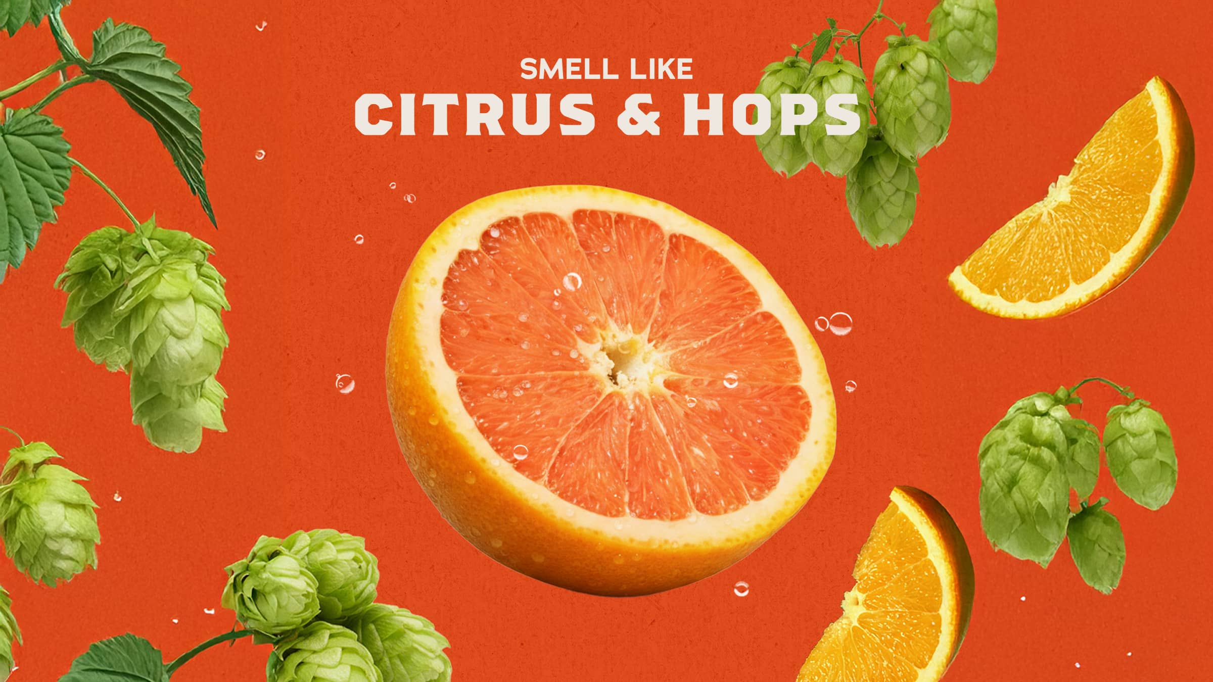 Grapefruit IPA Bar Soap - Image 3