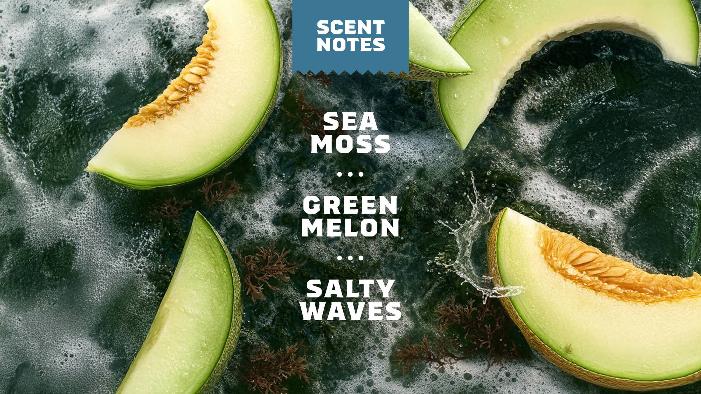 Coastal Mist Body Wash - Image 4