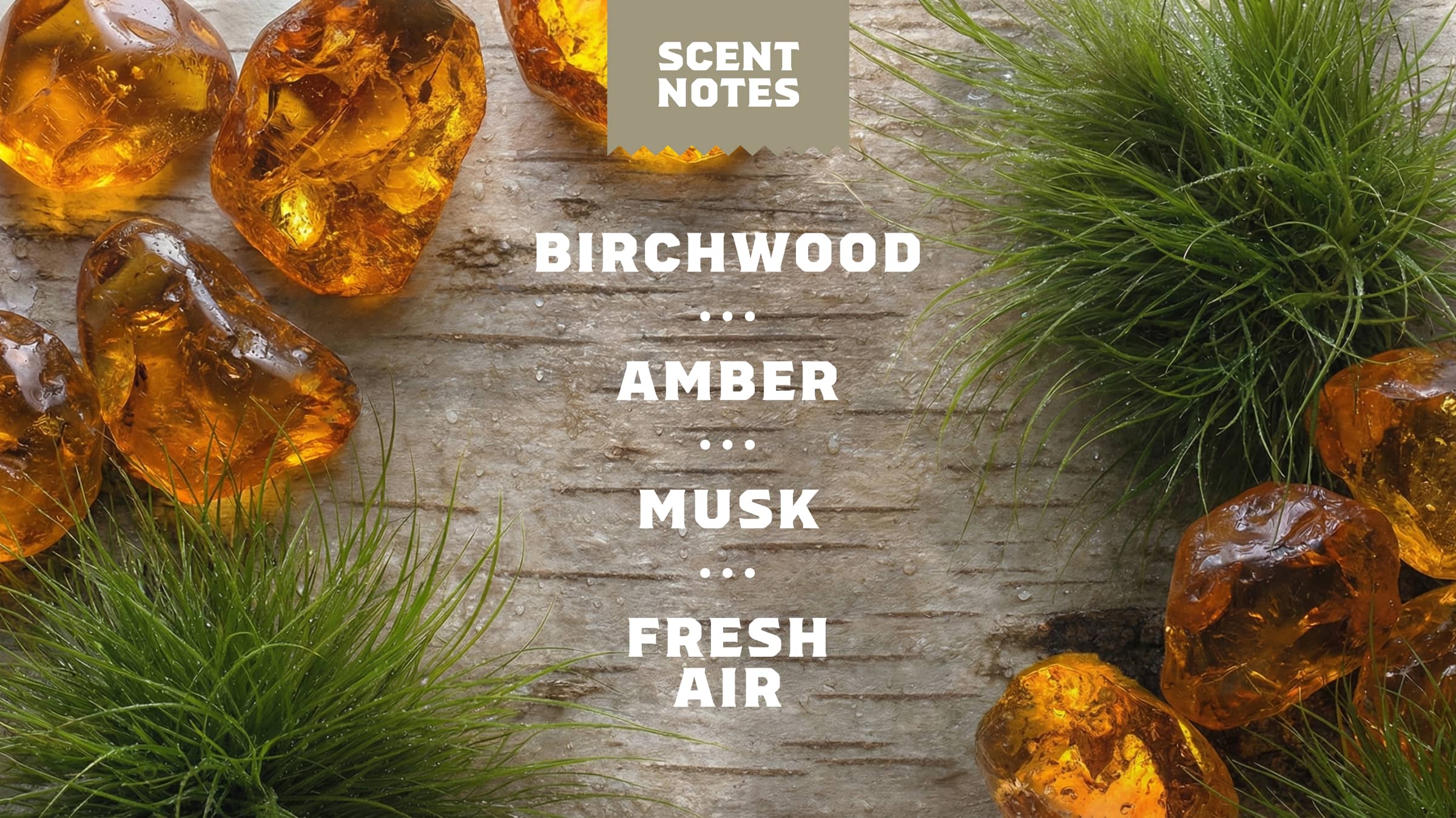 Birchwood Breeze Body Wash - Image 4