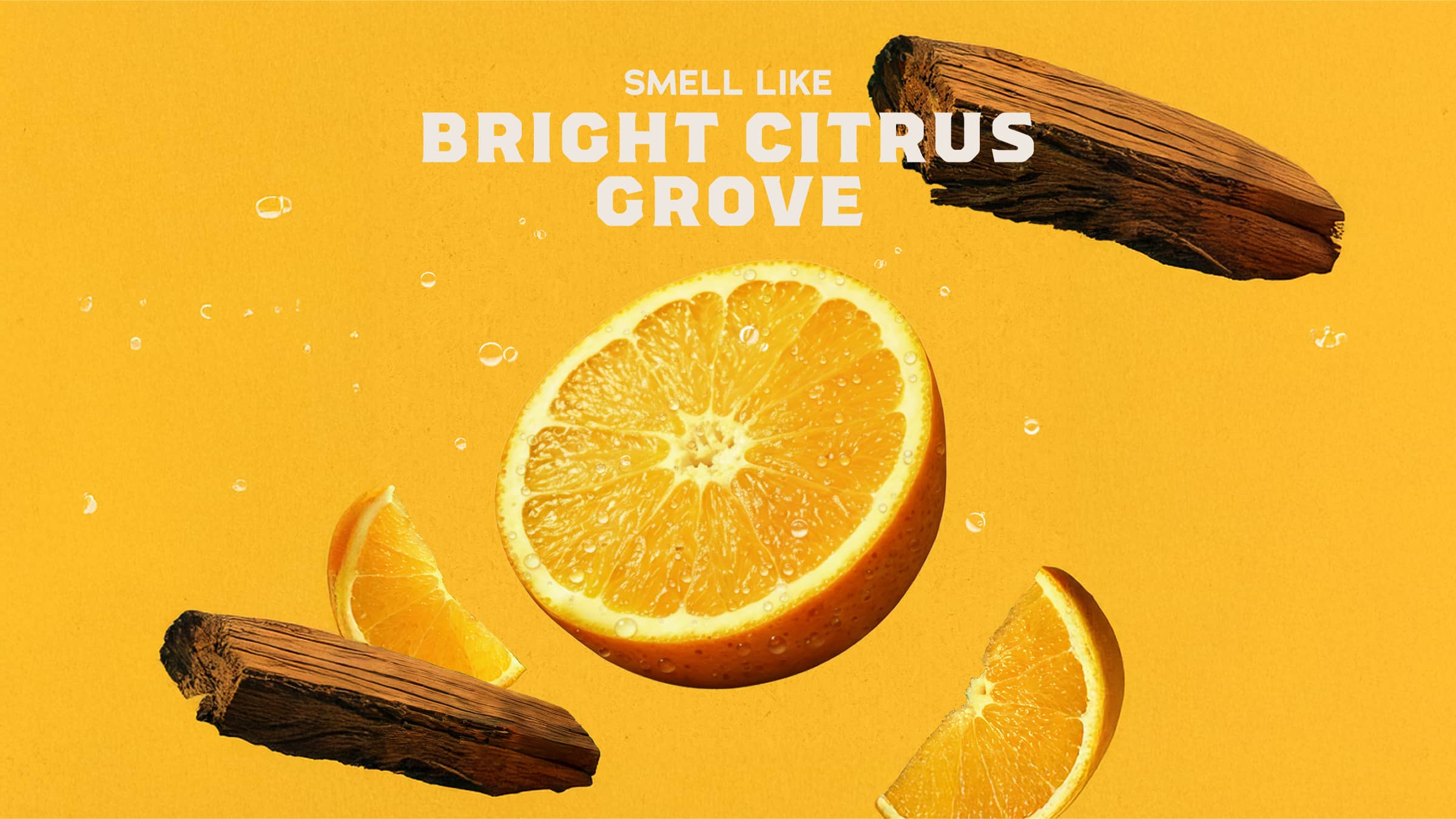 Summer Citrus Body Wash - Image 3