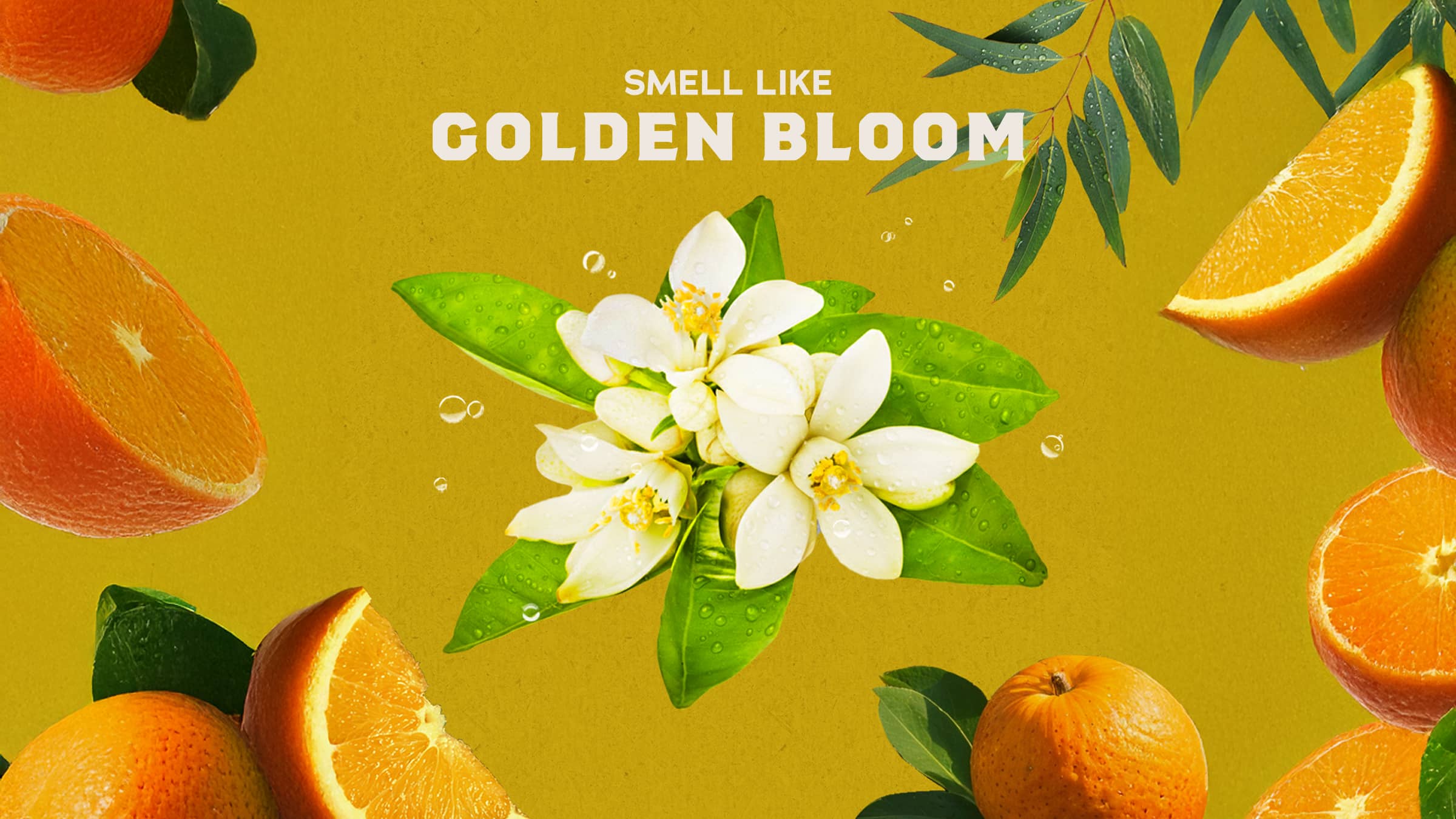 Mountain Meadow Body Wash - Image 3