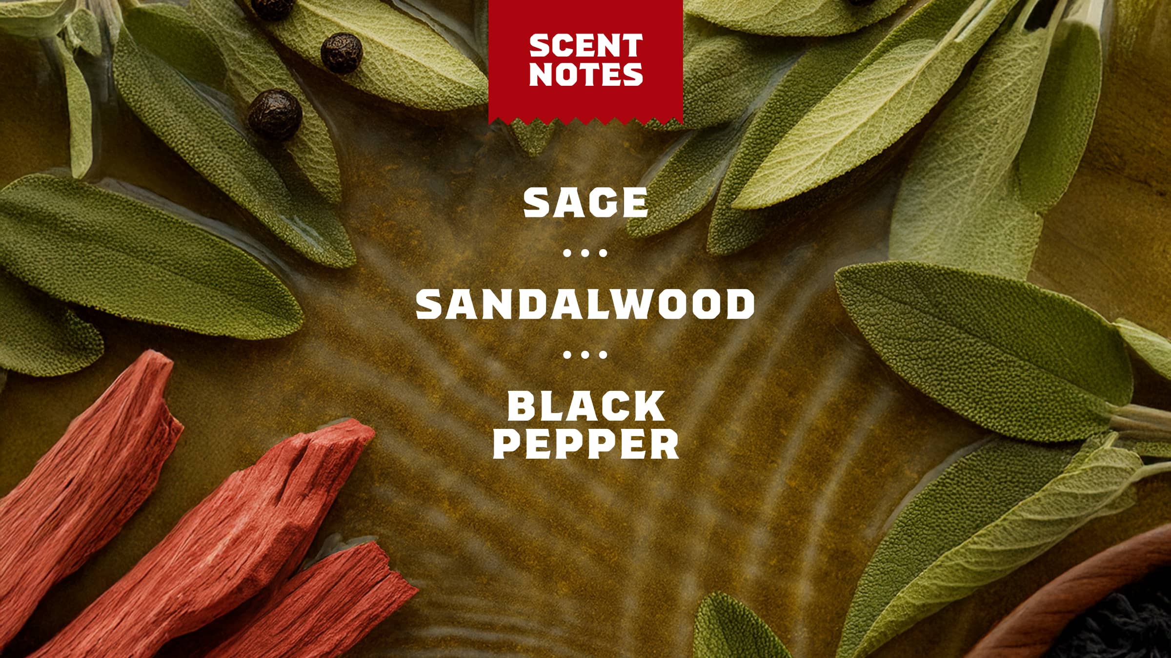 Sandalwood Summit Body Wash - Image 4