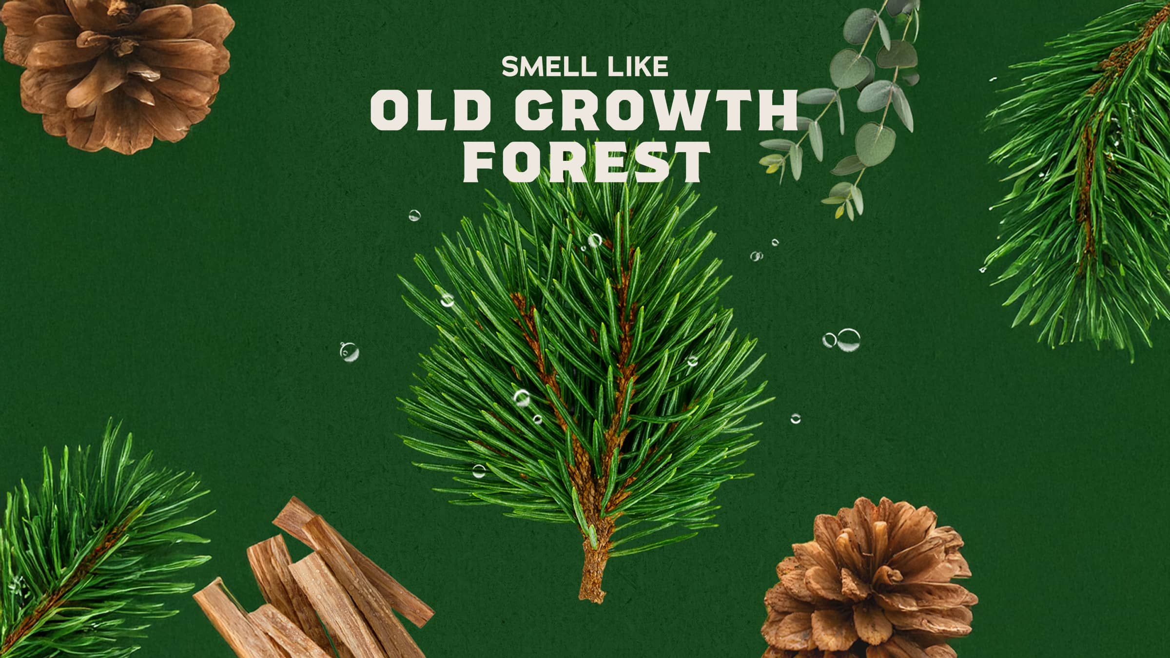 Pine Tar Body Wash - Image 3